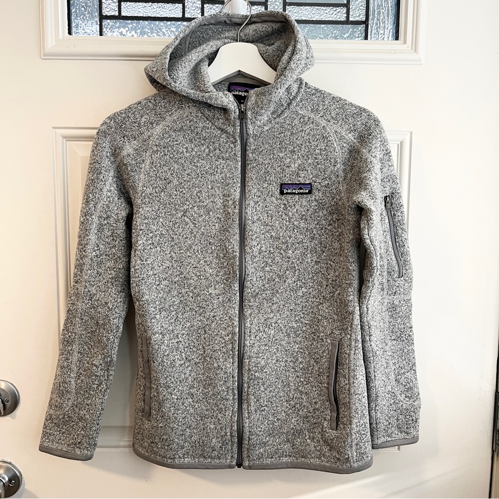 Patagonia better sweater fleece hoody